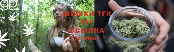 тгк Арсеньев
